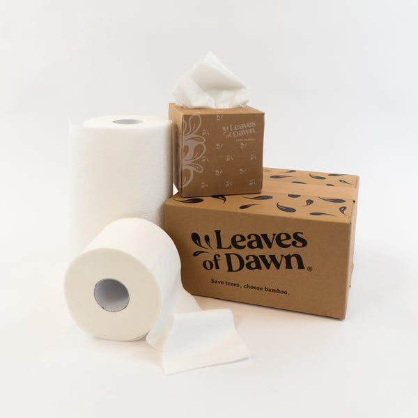 Sustainable Bamboo Paper Discovery Box