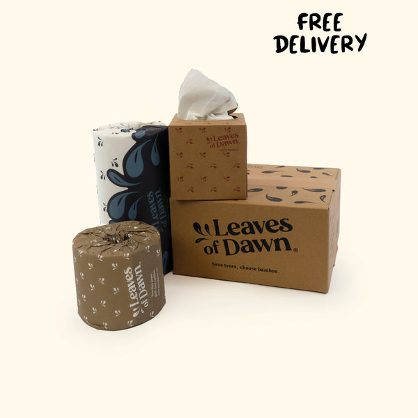 Sustainable Bamboo Paper Discovery Box